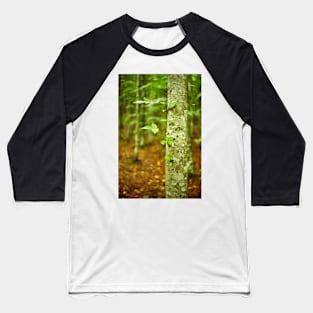 Hornbeam forest on summer Baseball T-Shirt